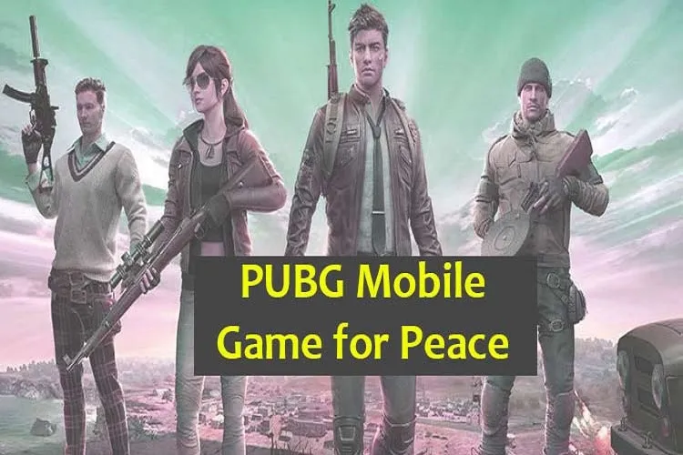 PUBG Mobile and Game For Peace Revenue Over 4.8 Million dollar A Day - India TV Paisa