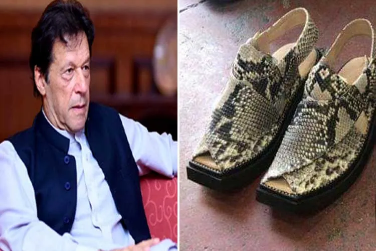 Wildlife officials in Pak seize snakeskin sandals meant for...- India TV Hindi