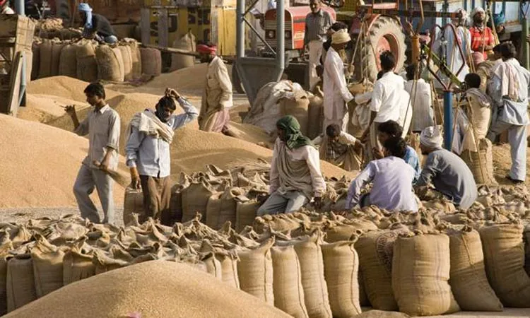 wheat procurement on support price till June 30 - India TV Paisa