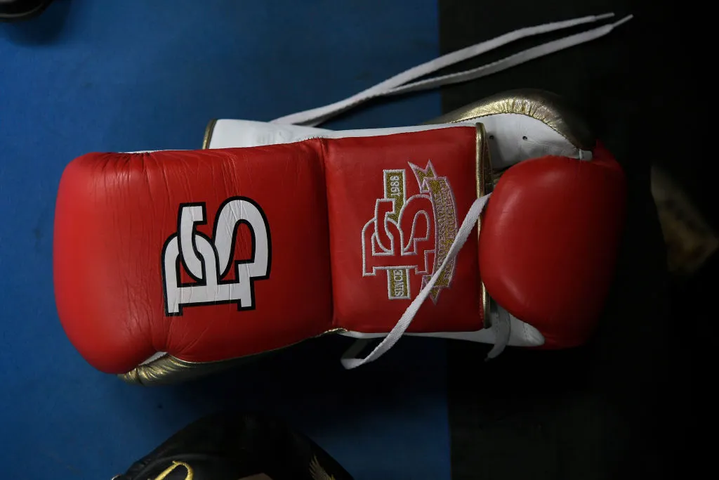 Boxing returns to Vegas, Stevenson knocks out Carballo- India TV Hindi