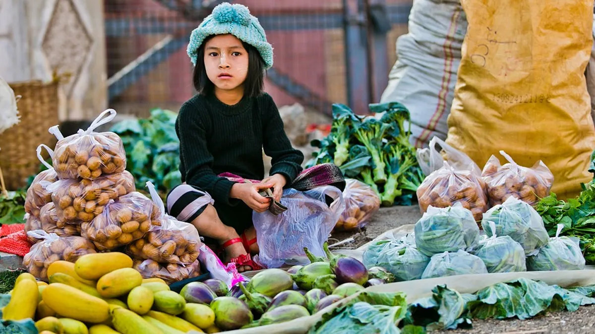 Vegetables in Delhi markets contain toxic metals, tells study | Pixabay Representational - India TV Hindi