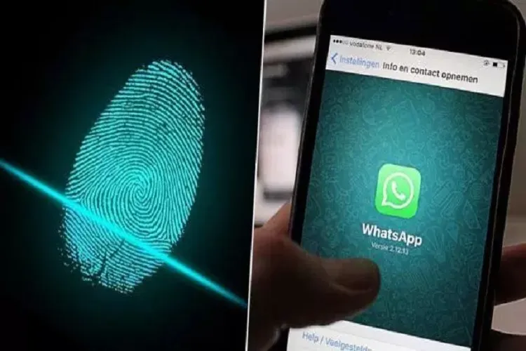 Whatsapp launches fingerprint lock feature for beta Android app users- India TV Paisa