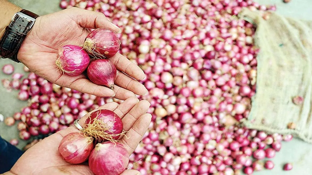 Onion to be sold Rs 23.90 per KG in Delhi by Saturday- India TV Hindi