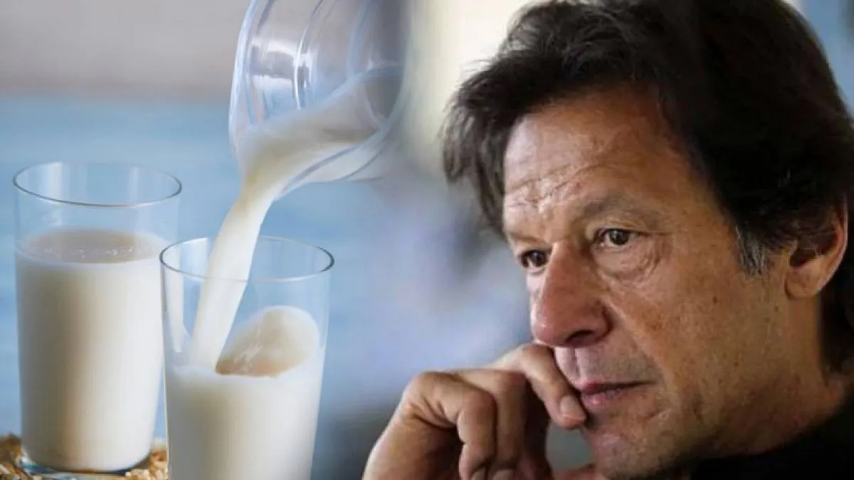 Milk gets costlier than petrol in Pakistan- India TV Paisa