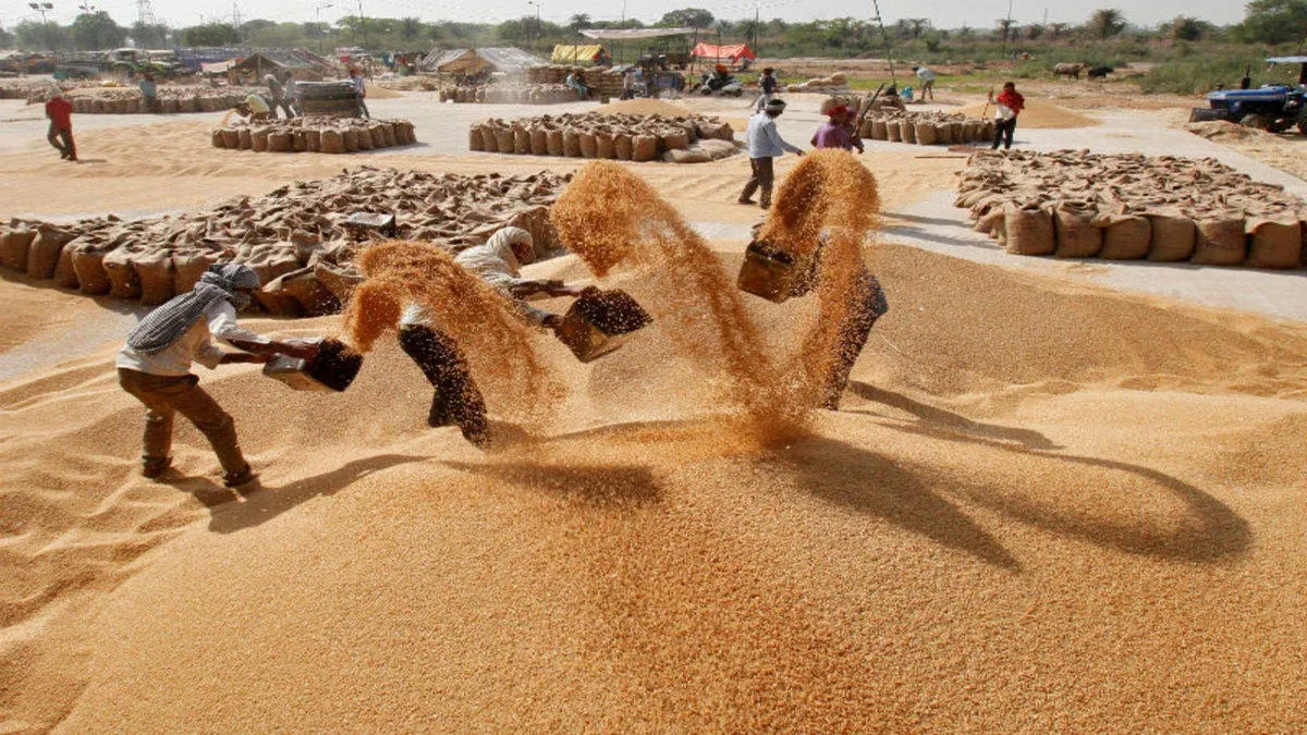 Govt raises minimum support price for wheat by Rs 85 per quintal- India TV Paisa