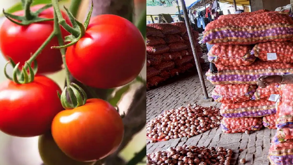tomato onion prices increase- India TV Paisa