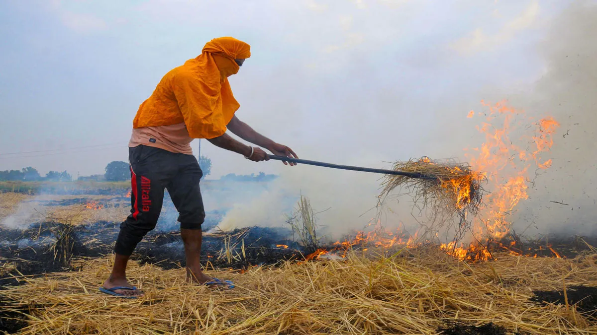 stubble burn, farmer stubble burn, punjab haryana- India TV Hindi