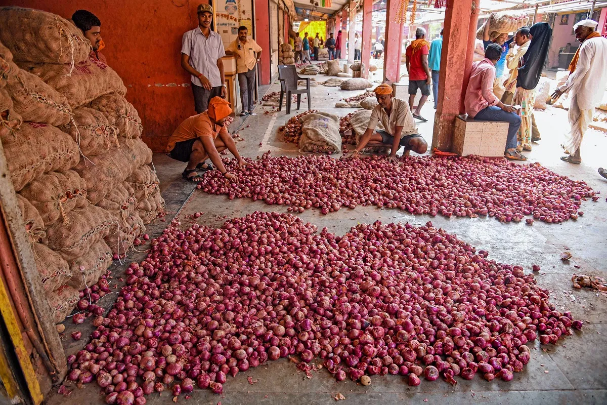 Onion Prices- India TV Hindi