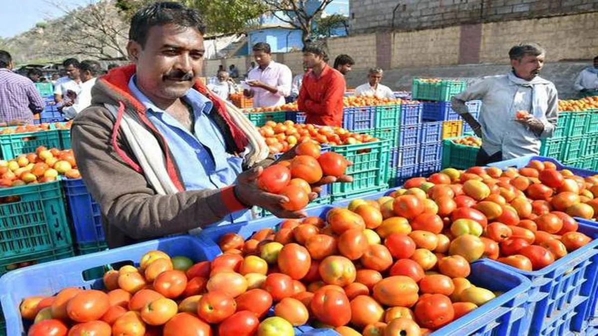 People violating lockdown rules with carrying tomatoes in bags: Gujarat DGP- India TV Hindi