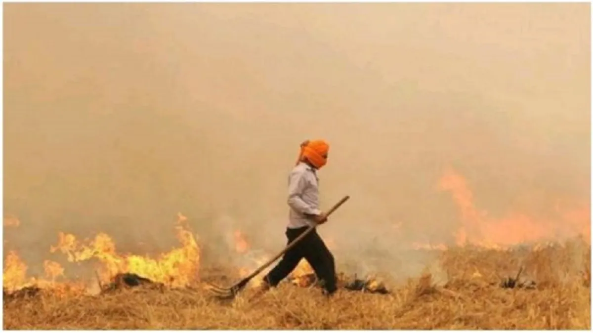 Pollution will be rise in Delhi in next few days because of Stubble burning- India TV Hindi
