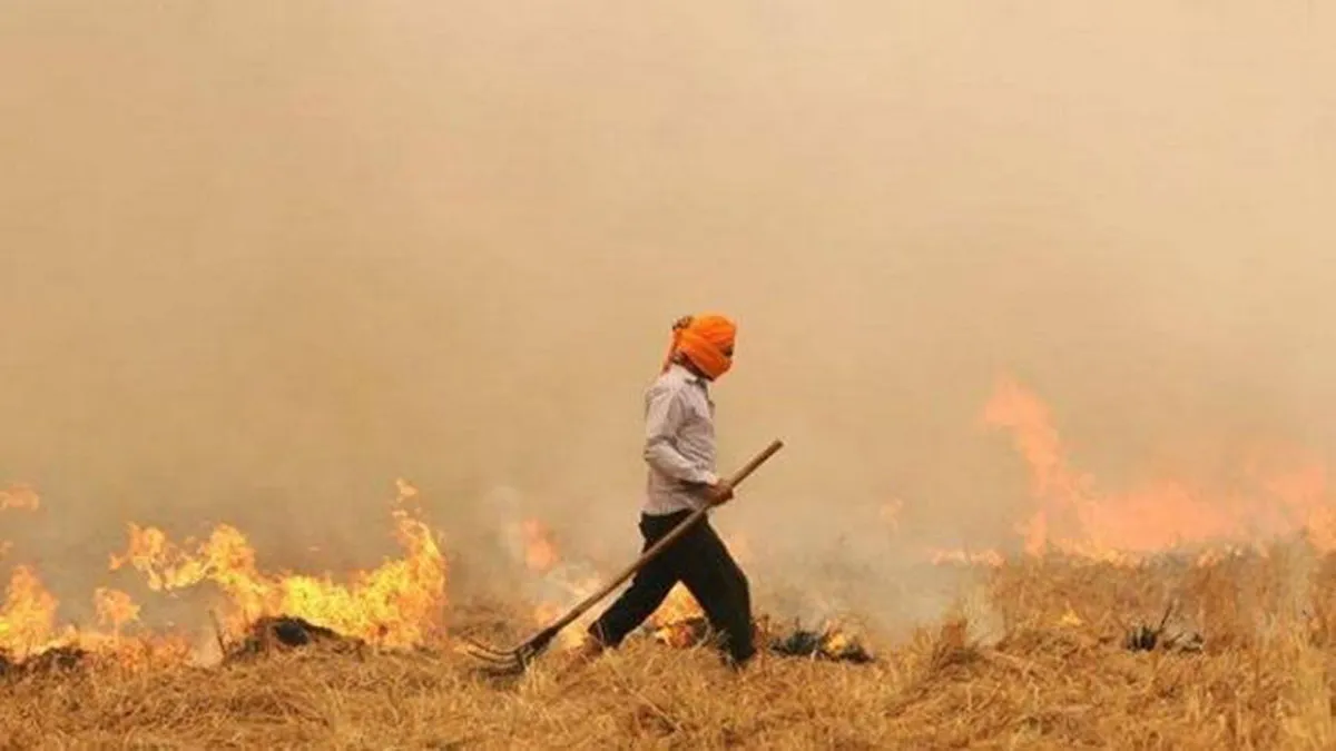 प्रतिबंध के बावजूद पंजाब में दो दिनों में पराली जलाने की 1500 घटनाएं- India TV Hindi