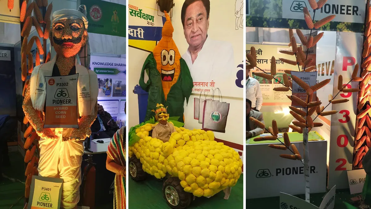 corn fest 2019- India TV Hindi