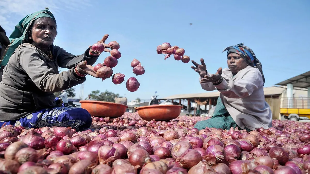 onion, onion crisis, onion buffer stock, government, MMTC- India TV Paisa