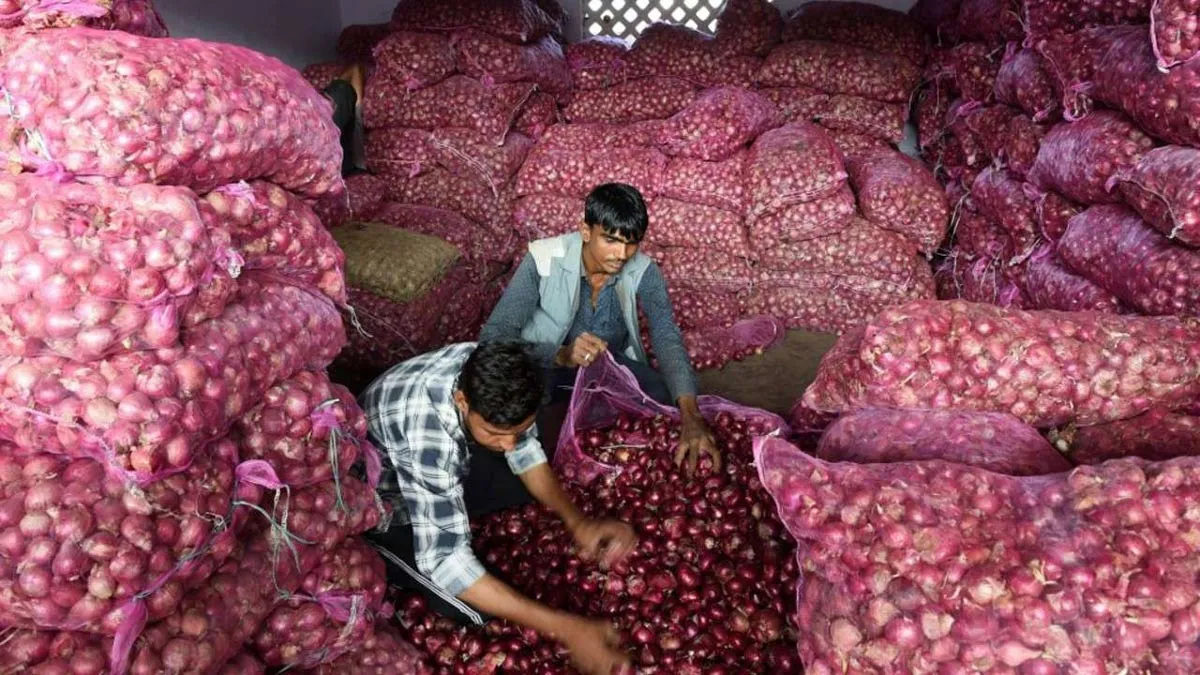 MMTC further contracts 4,000 tons of onions from Turkey- India TV Paisa
