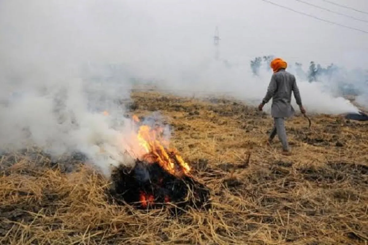 Stubble Burning- India TV Hindi