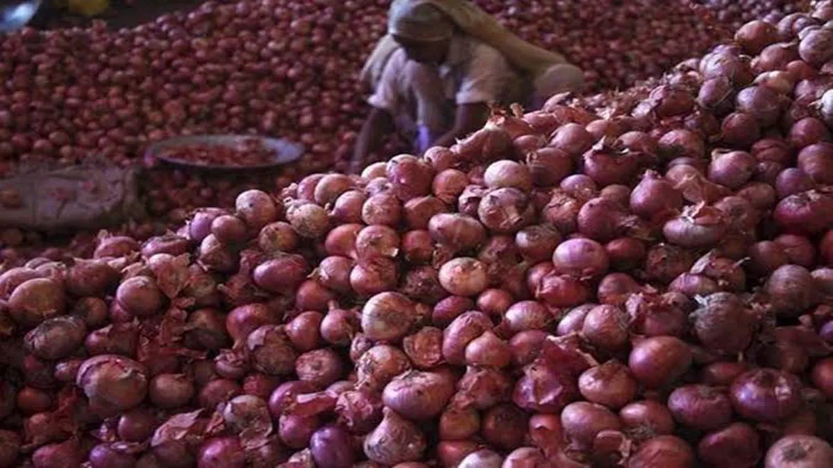 Govt plans to sell imported onion at Rs 22-23kg to avoid rotting at port- India TV Paisa