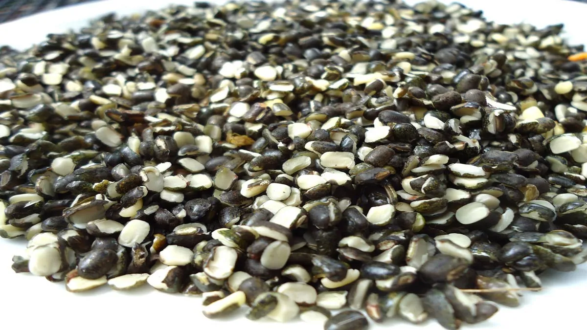 Government approves import of 2.5 lakh tons of urad dal- India TV Paisa