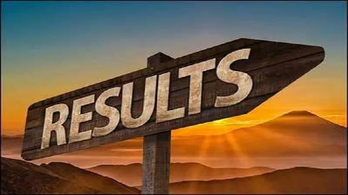 du results 2019 declared, check here details- India TV Hindi