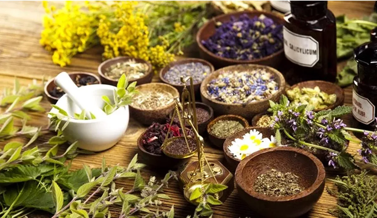 Herbal medicine- India TV Hindi