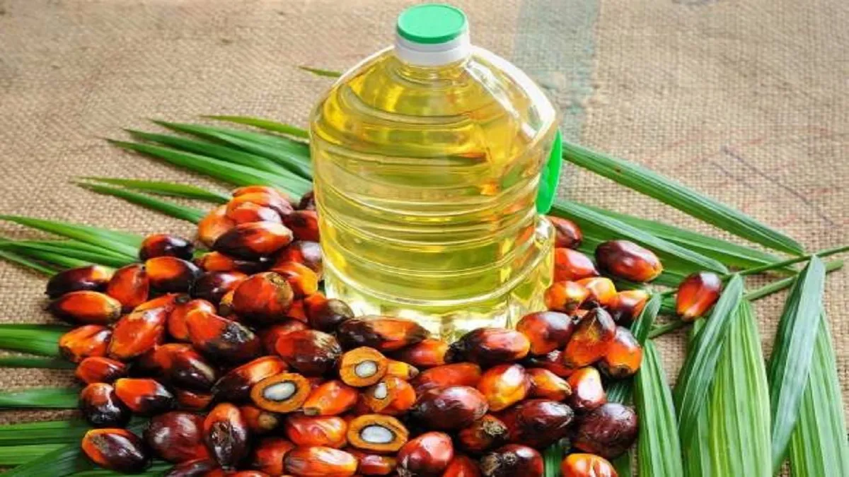 India, import, refined palm oil - India TV Paisa