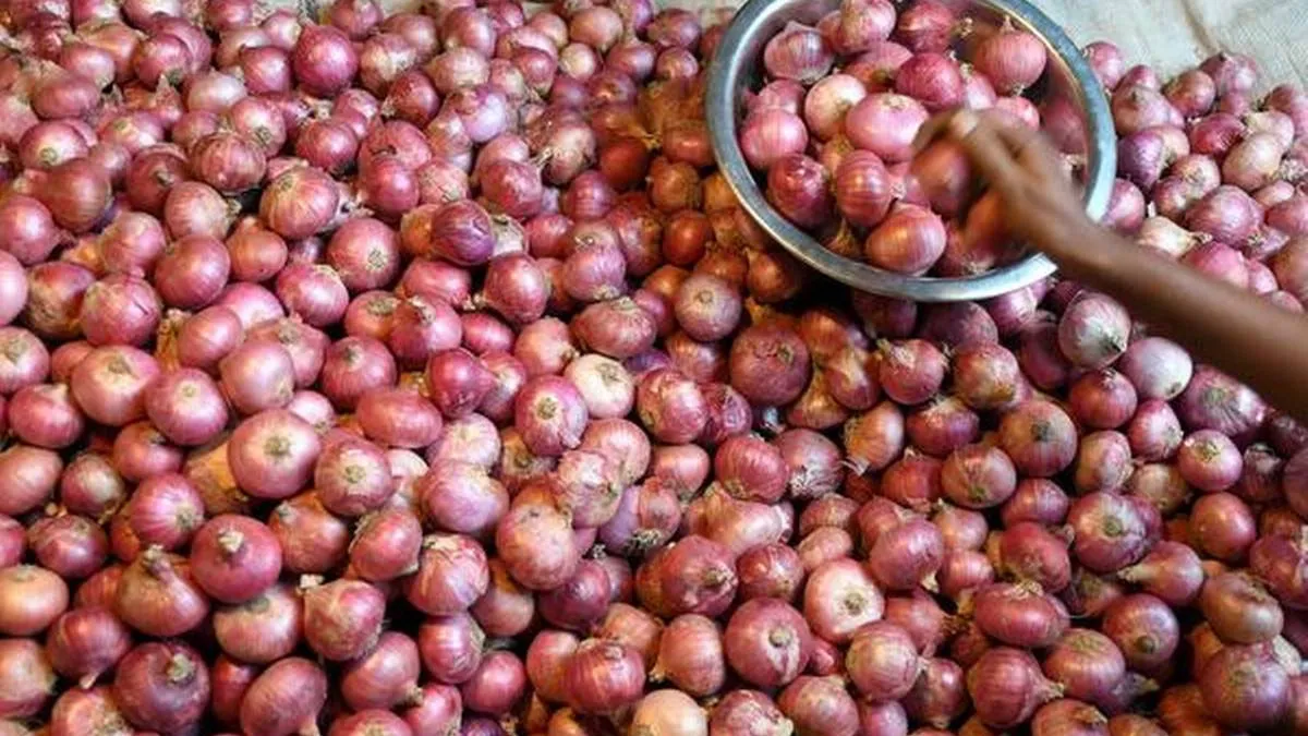 Govt to allow onion export from Mar 15- India TV Paisa