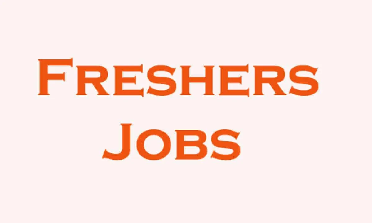 government jobs for freshers 2020- India TV Hindi