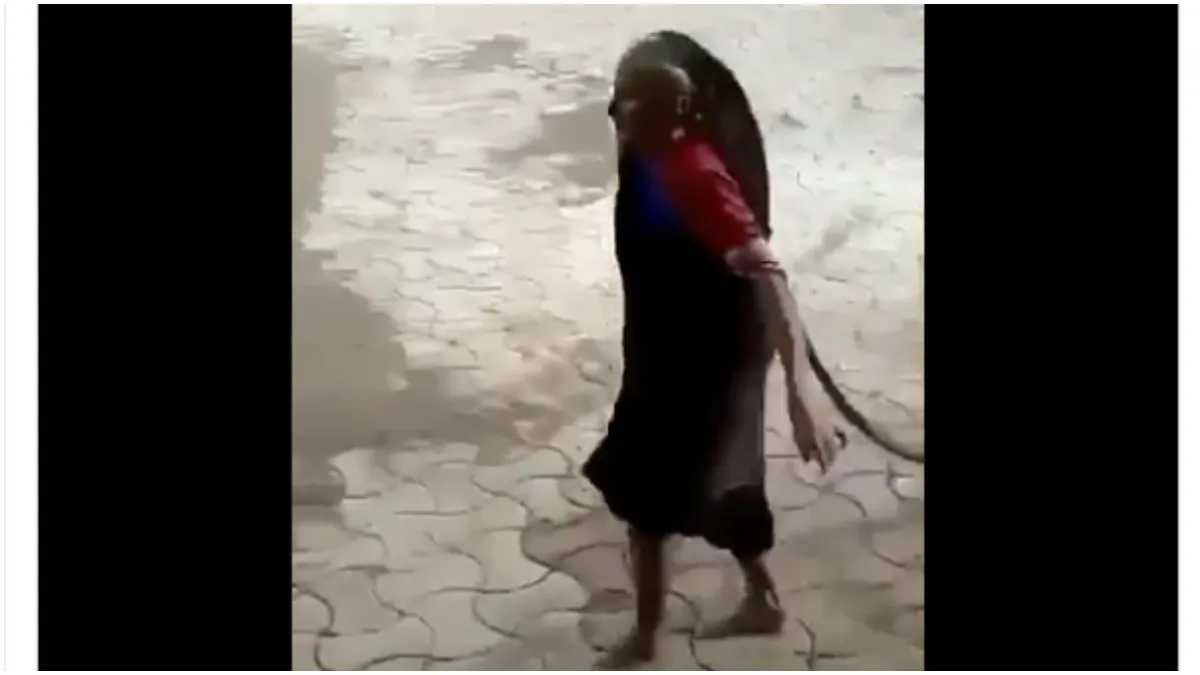 दादी मां का कोबरा को...- India TV Hindi