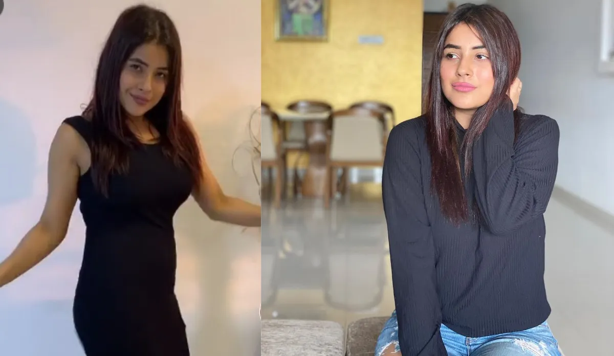 shehnaaz gill latest dance video- India TV Hindi