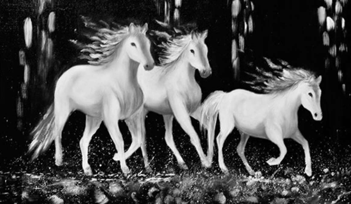 Vastu Tips Put A White Picture Of A Horse In The House Or Office Vastu Tips घर य ऑफ स म लग ए इस र ग क घ ड क तस व र फ र द ख कम ल India