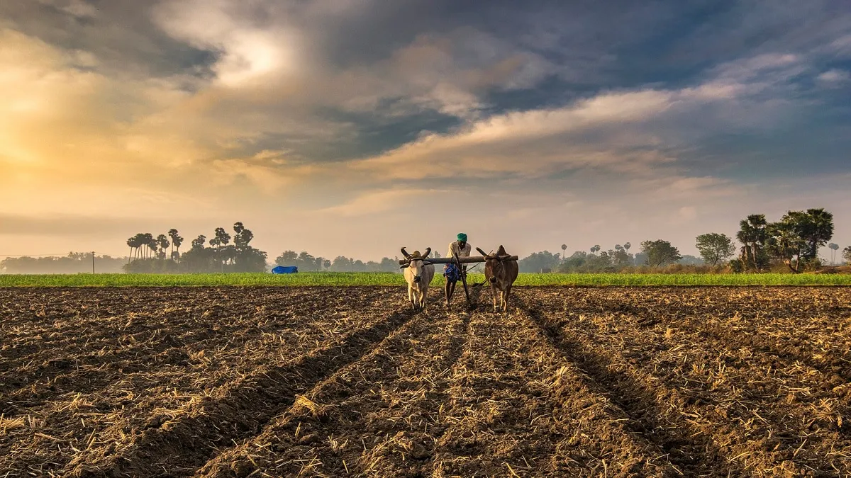 India's farm trade may rebound in second half of 2020: Fitch Solutions- India TV Paisa