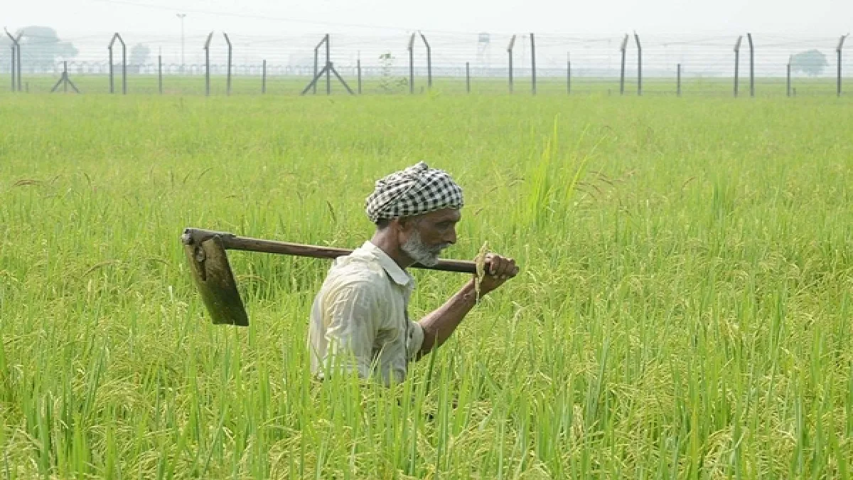 Interest subvention on crop loans extended till August 31- India TV Paisa