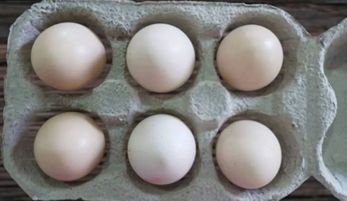 फ्रिज में अंडा रखना हो सकता है सेहत के लिए खतरनाक, egg- India TV Hindi