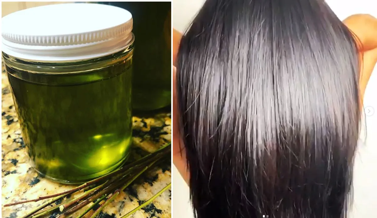 How to White hair will turn black in a few days: Beauty tips home remedy for white hair hair oil for- India TV Hindi