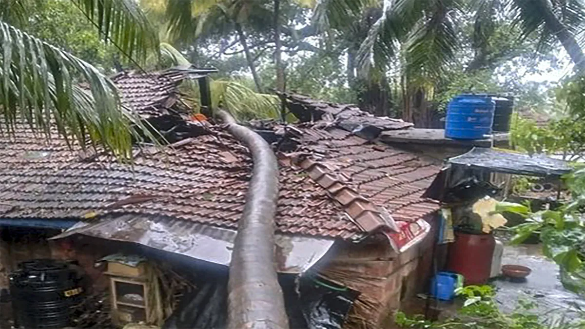 Latest Cyclone Nisarga Knock in Pune District After Mumbai Two People Dead, मुंबई के बाद पुणे जिले म- India TV Hindi