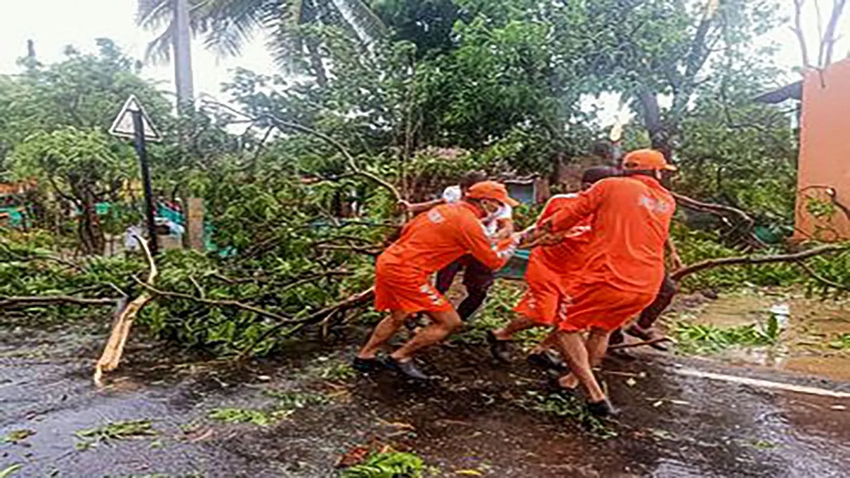 चक्रवात निसर्ग: महाराष्ट्र के रायगढ़ और पालघर जिले हुए प्रभावित, 120 किमी की रफ्तार से चली हवाएं- India TV Hindi