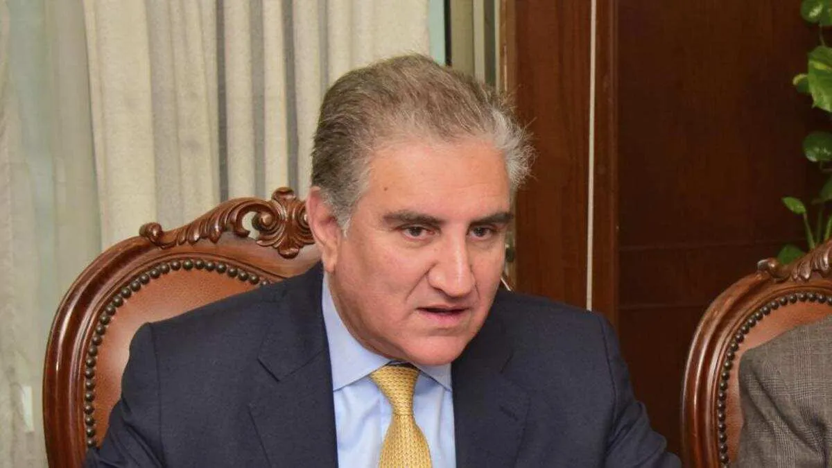 Qureshi Accuses India of Plotting Attack on Pakistan to Divert Attention from Dispute with China- India TV Hindi