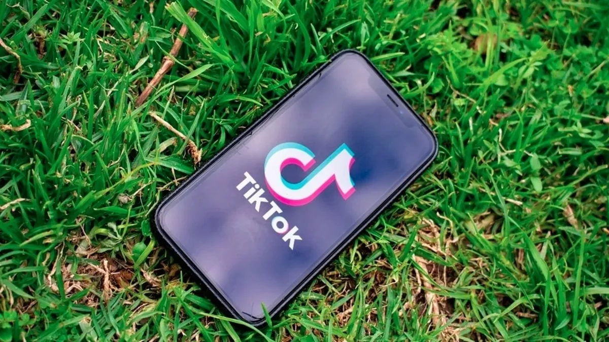 TikTok, TikTok statement over removal from Google Play Store, Google Play Store- India TV Hindi