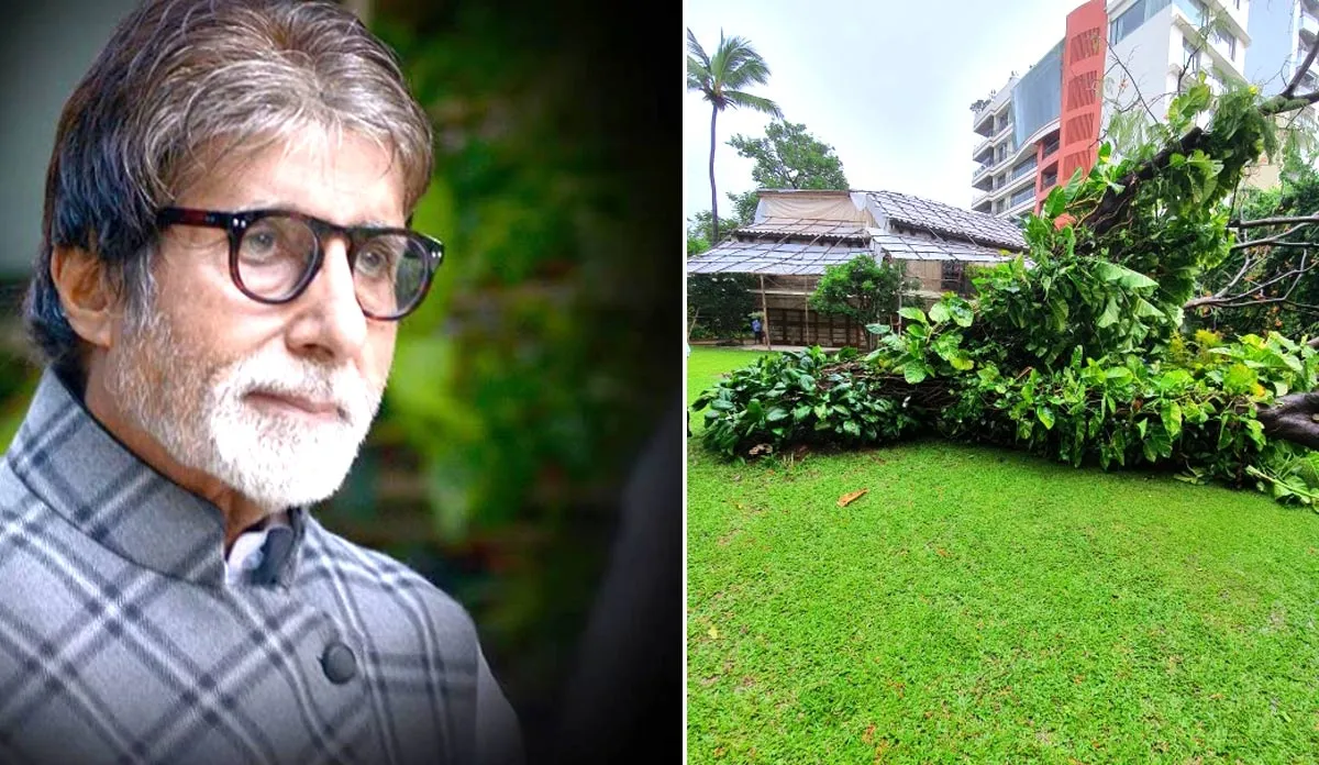 अमिताभ बच्चन ने गुलमोहर के पेड़ को कहा अलविदा- India TV Hindi