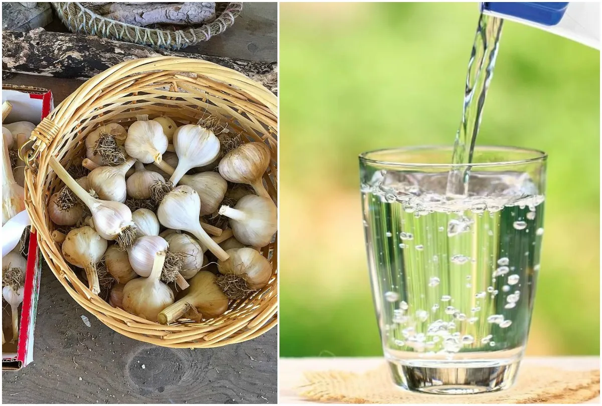 Garlic with hot water- India TV Hindi