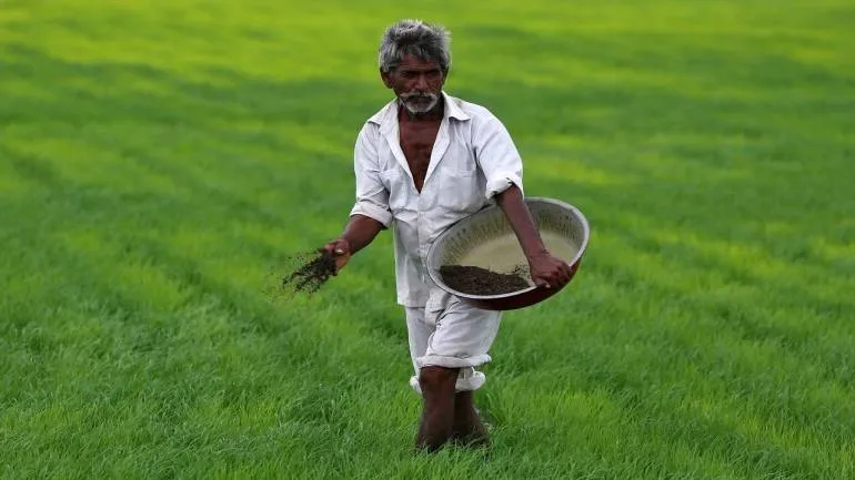 Oil seed sowing up 14.41 percent in kharif season - India TV Paisa