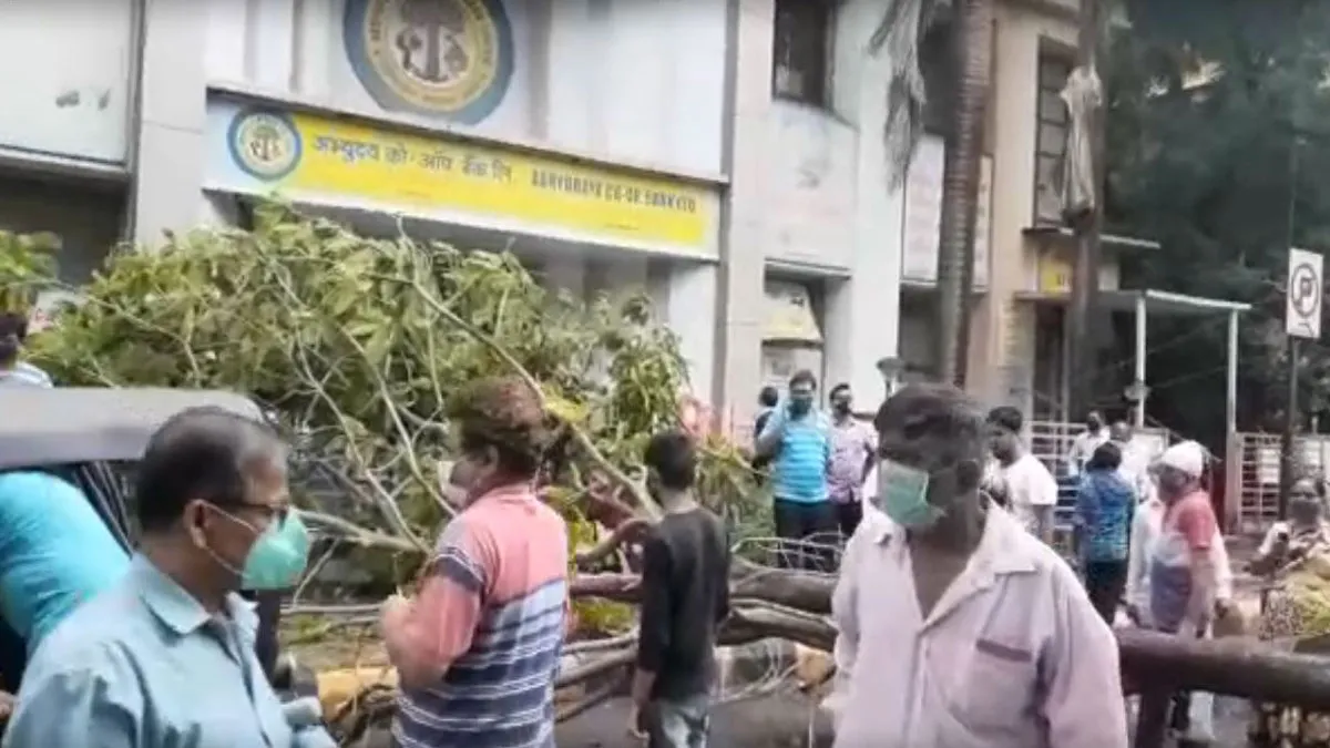 Navi Mumbai One person died after falling tree- India TV Hindi