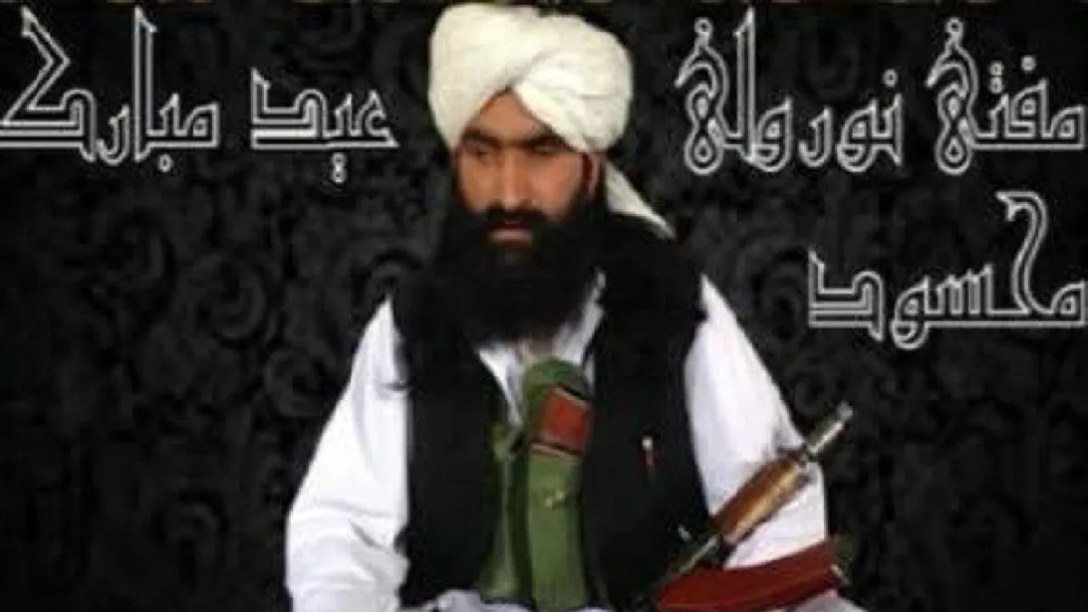 Tehrik-e-Taliban Pakistan (TTP) leader Noor Wali Mehsud- India TV Hindi