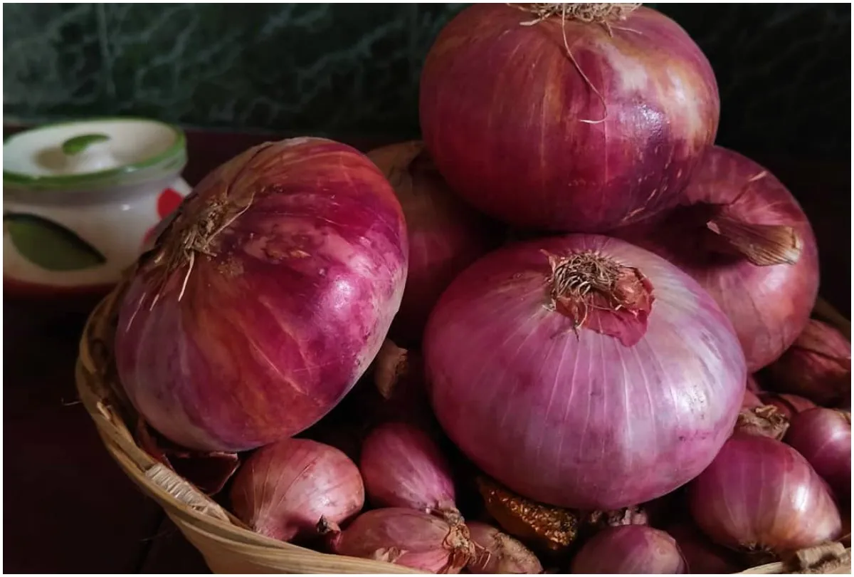 Onion - India TV Hindi