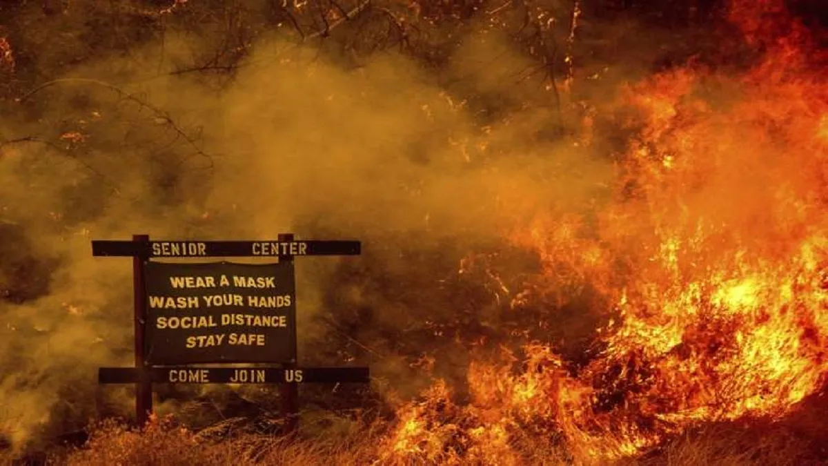 कैलिफोर्निया के जंगल में लगी भीषण आग केवल एक हफ्ते में 10 लाख एकड़ तक फैली- India TV Hindi