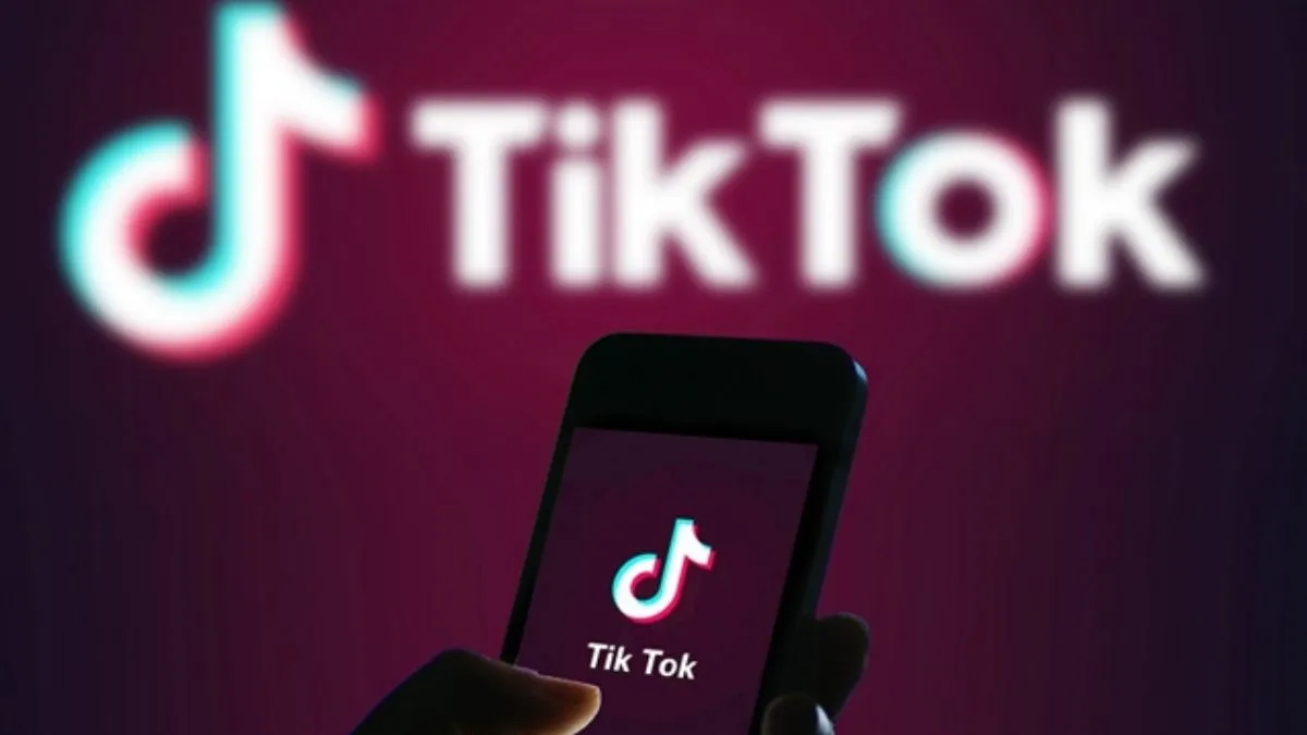 TikTok removed more than 380,000 videos in the United States - India TV Paisa