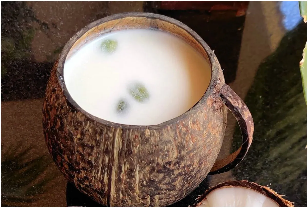 Coconut Milk- India TV Hindi