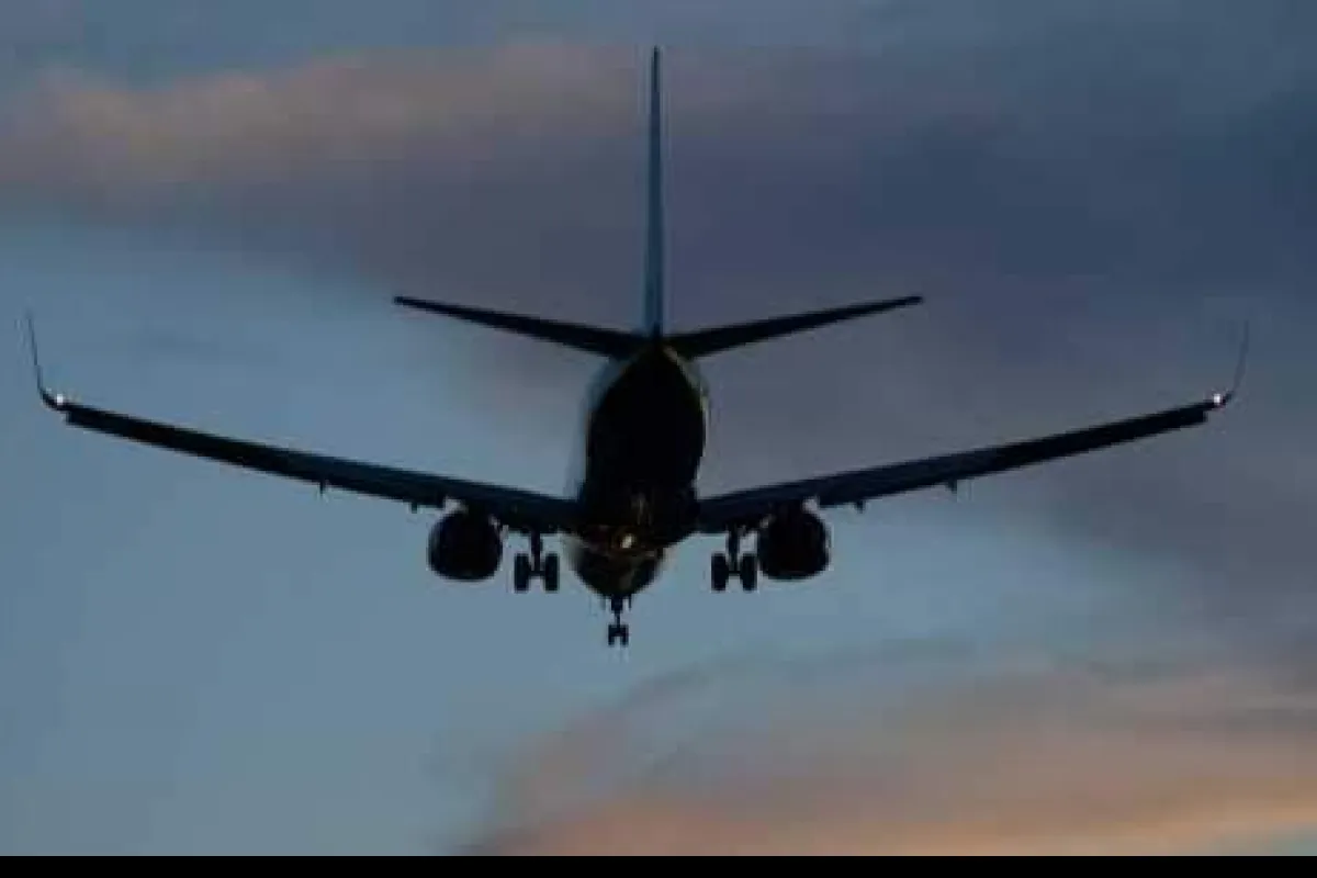 घरेलू हवाई यात्रियों...- India TV Paisa