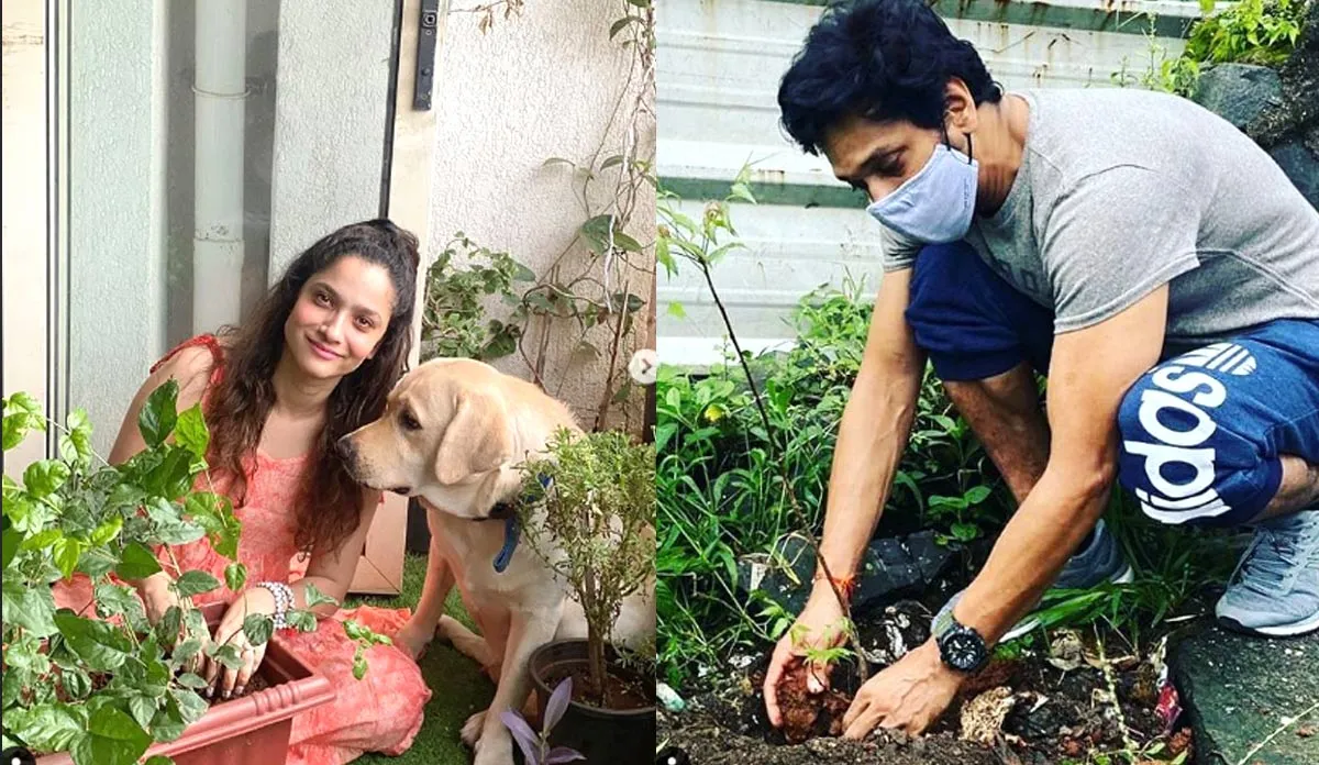 ankita lokhande mahesh shetty sushant plants for ssr - India TV Hindi