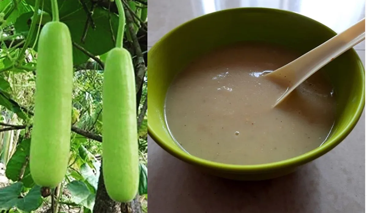 लौकी का सूप बनाने की सिंपल विधि- India TV Hindi