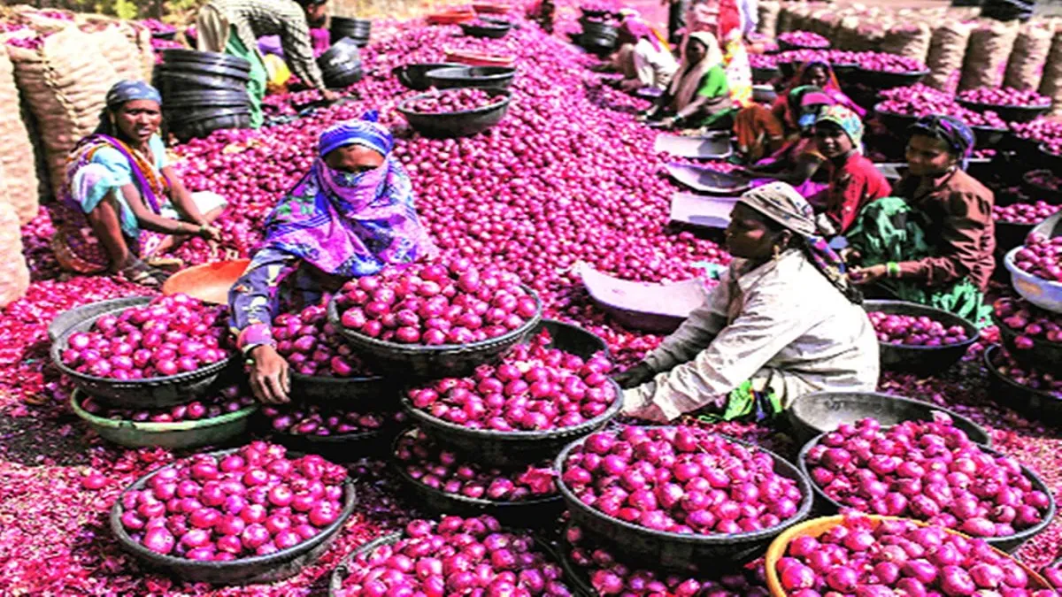 Nafed floats bids for supply of 15,000 tonnes of imported red onions- India TV Paisa